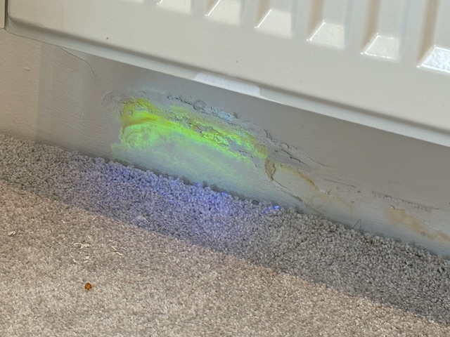 Professionelle Leckageortung nach Wasserschaden