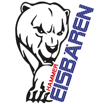 Eisbaeren